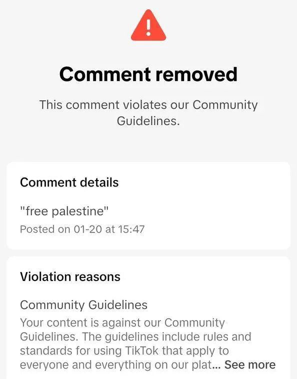 FearedBuck's tweet photo. TikTok is now reportedly flagging the phrase ‘Free Palestine’ as hate speech. https://t.co/HP4HBruWJs