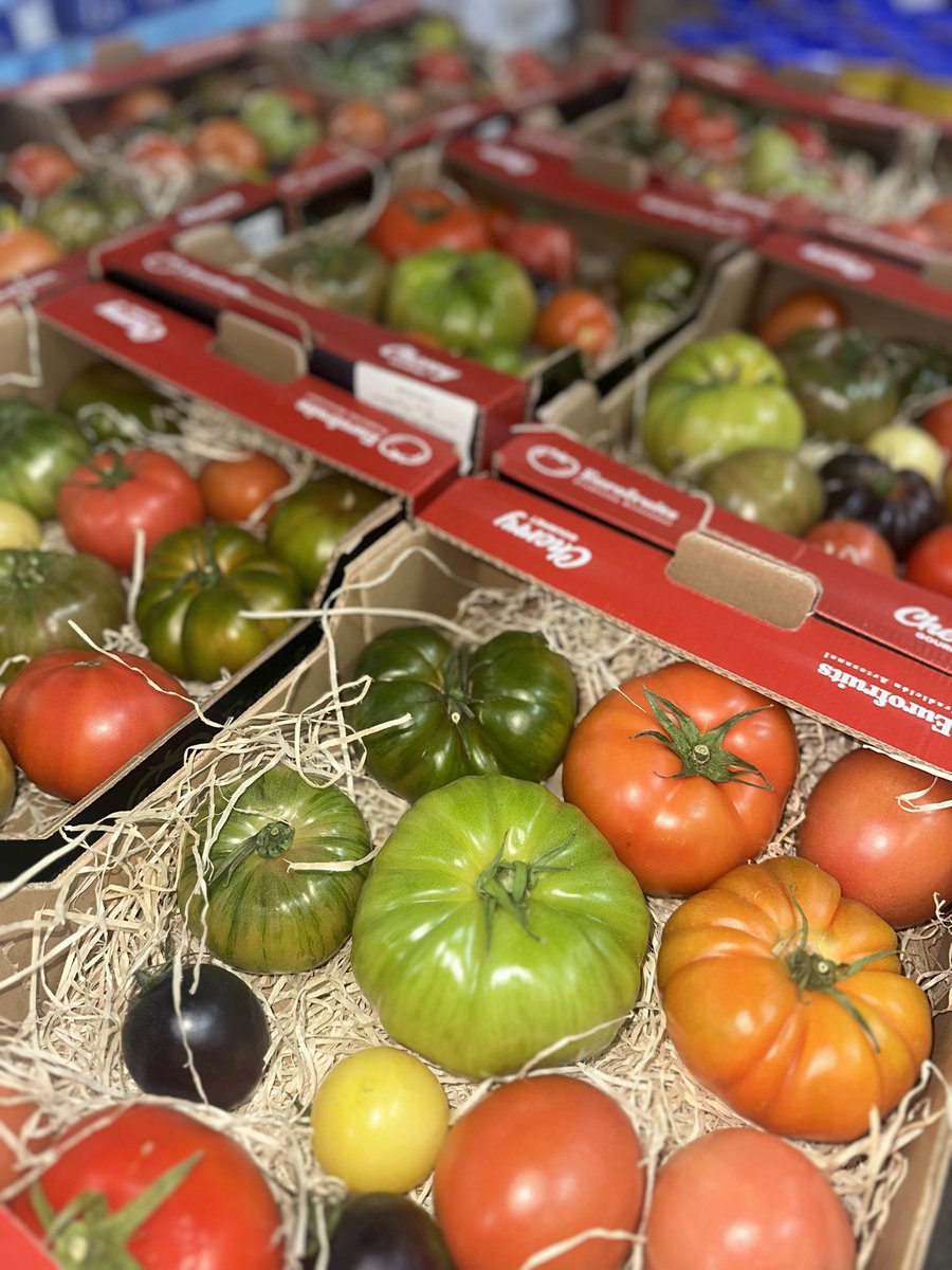 FreshFoodCo_'s tweet photo. Fresh in today, ready to be picked and packed for our customers for delivery tomorrow🍅

𝗳𝗿𝗲𝘀𝗵 𝗶𝘀 𝗯𝗲𝘀𝘁

Call us to find out more 0141 548 6989 https://t.co/SZ1aS3Ihjn