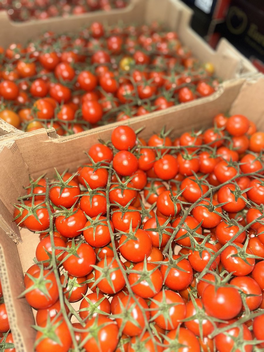 FreshFoodCo_'s tweet photo. Fresh in today, ready to be picked and packed for our customers for delivery tomorrow🍅

𝗳𝗿𝗲𝘀𝗵 𝗶𝘀 𝗯𝗲𝘀𝘁

Call us to find out more 0141 548 6989 https://t.co/SZ1aS3Ihjn