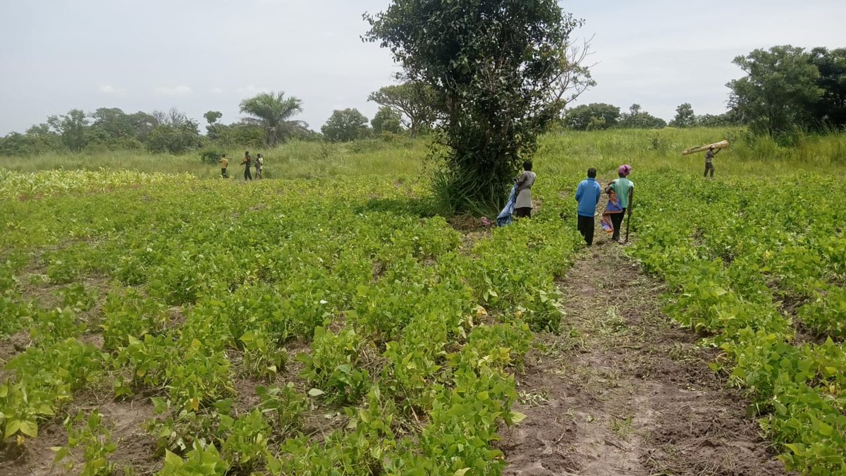 Paula Francisco (@paulafr81207357) on Twitter photo As we disccued in the international fora, we need to go to the field and take samples on how #carbonmarkets in reallity will work, integrating biodiversity where wild species are playing a role <a href="/UNBiodiversity/">UN Biodiversity</a> <a href="/UNFCCC/">UN Climate Change</a> <a href="/SDG2030/">SDG2030</a> <a href="/IUCN/">IUCN</a> As we disccued in the international fora, we need to go to the field and take samples on how #carbonmarkets in reallity will work, integrating biodiversity where wild species are playing a role <a href="/UNBiodiversity/">UN Biodiversity</a> <a href="/UNFCCC/">UN Climate Change</a> <a href="/SDG2030/">SDG2030</a> <a href="/IUCN/">IUCN</a>