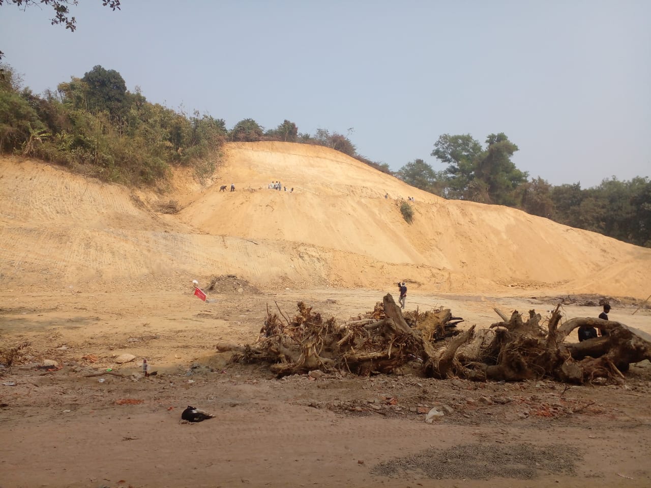 চমেক হাসপাতাল বার্ণ ইউনিট নির্মাণে পাহাড় না কাটার প্রতিশ্রুতি দিয়ে ভঙ্গ, গাছ লাগিয়ে প্রতিবাদ পরিবেশকর্মীদের