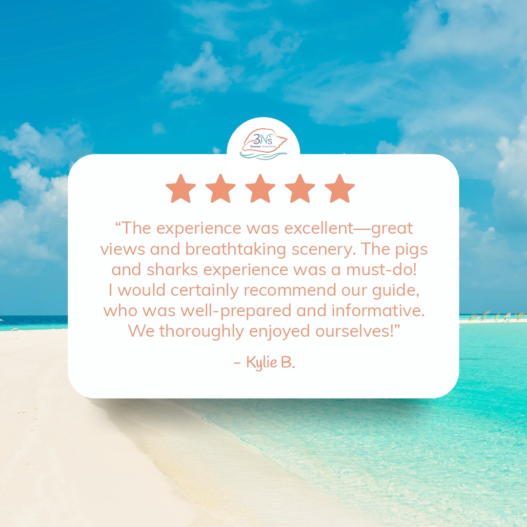 Your feedback means the world to us, and we're so glad you had an amazing experience with the pigs, sharks, and stunning views! 🐷🦈
