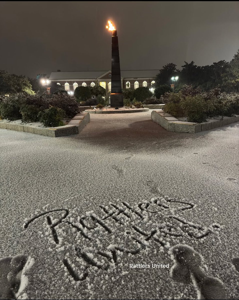 Kombucha Mami tweet media