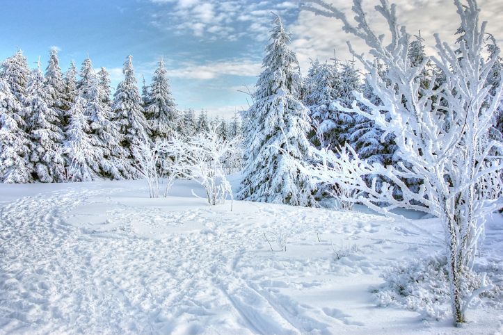 Find your Healthwatch Bath &amp; NES news, including Winter health advice &amp; resources, opportunities for getting involved and our latest reports here: 
Your Healthwatch Bath &amp; NES news update for Winter 2025

<a href="/bathnes/">B&NES Council</a> <a href="/banes3sg/">3SG</a> <a href="/CarersCentre1/">The Carers' Centre</a>
