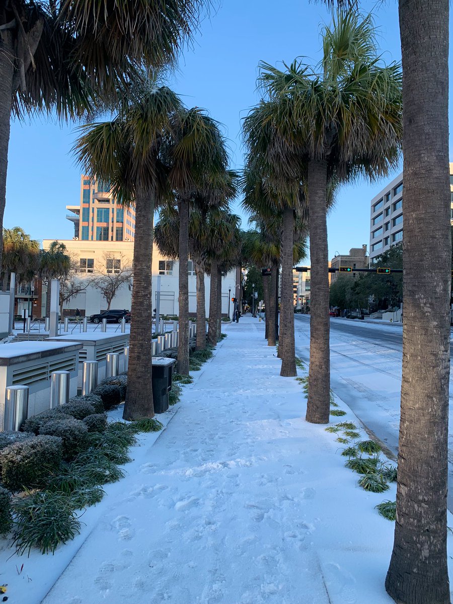 UFStemCell's tweet photo. ❄️🌅❄️#SnowyMorning #Snowfall #Tallahassee #CapitalCity #Florida #SafeTravels #SlipperyRoads #StayInside #BeSafe #Blessings #PeaceBeWithYou #BackToWorkNow https://t.co/4Xek5BjWfI