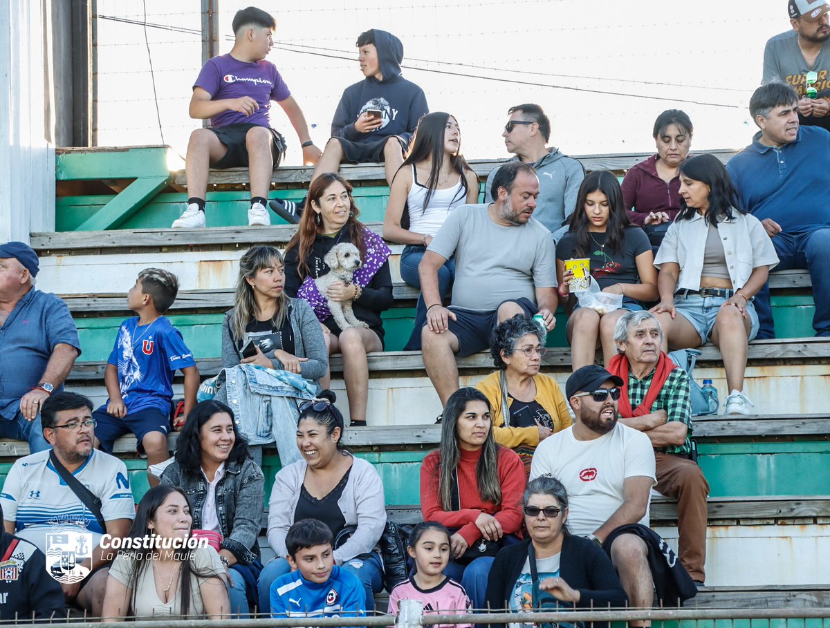 Municipalidad de Constitución tweet media