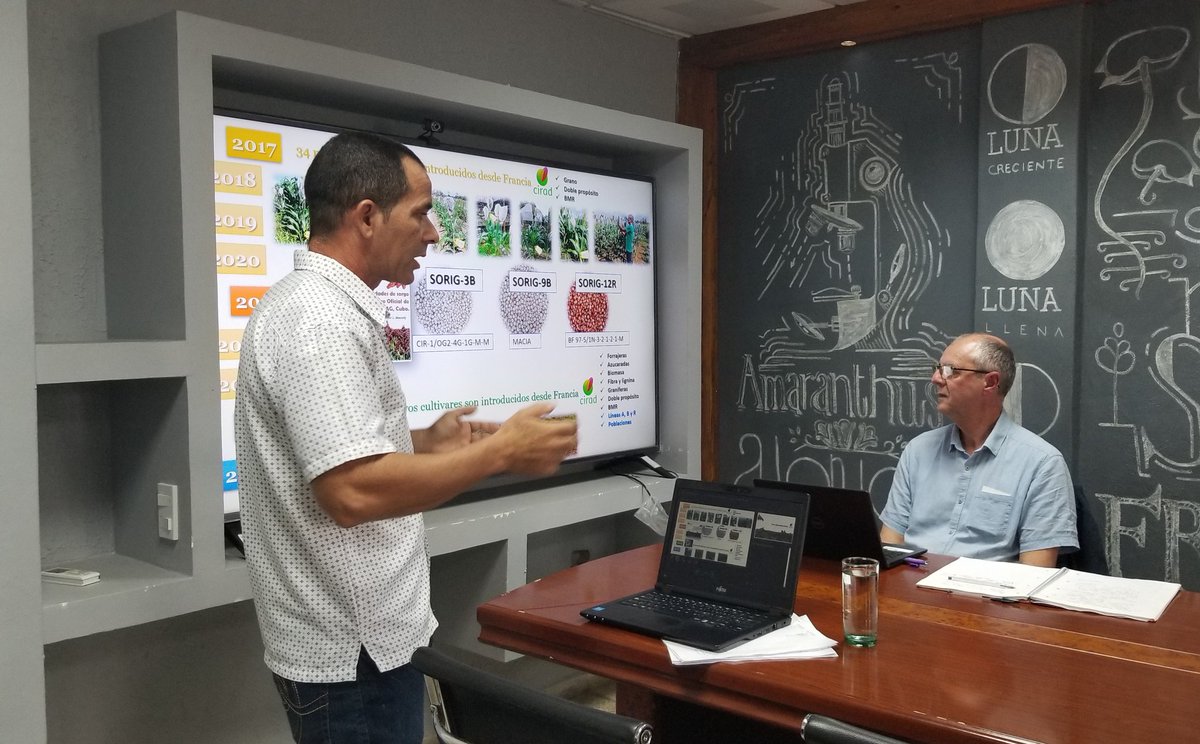 GranosInstituto's tweet photo. 🌾 El @GranosInstituto recibe a expertos para un intercambio sobre la mejora del #sorgo.
El Dr. Gilles Trouche impartió una conferencia y @Maugly_Cuba presentó resultados de proyecto sobre la introducción de nuevas variedades en la institución.🌱 https://t.co/D1gQNaBQuA