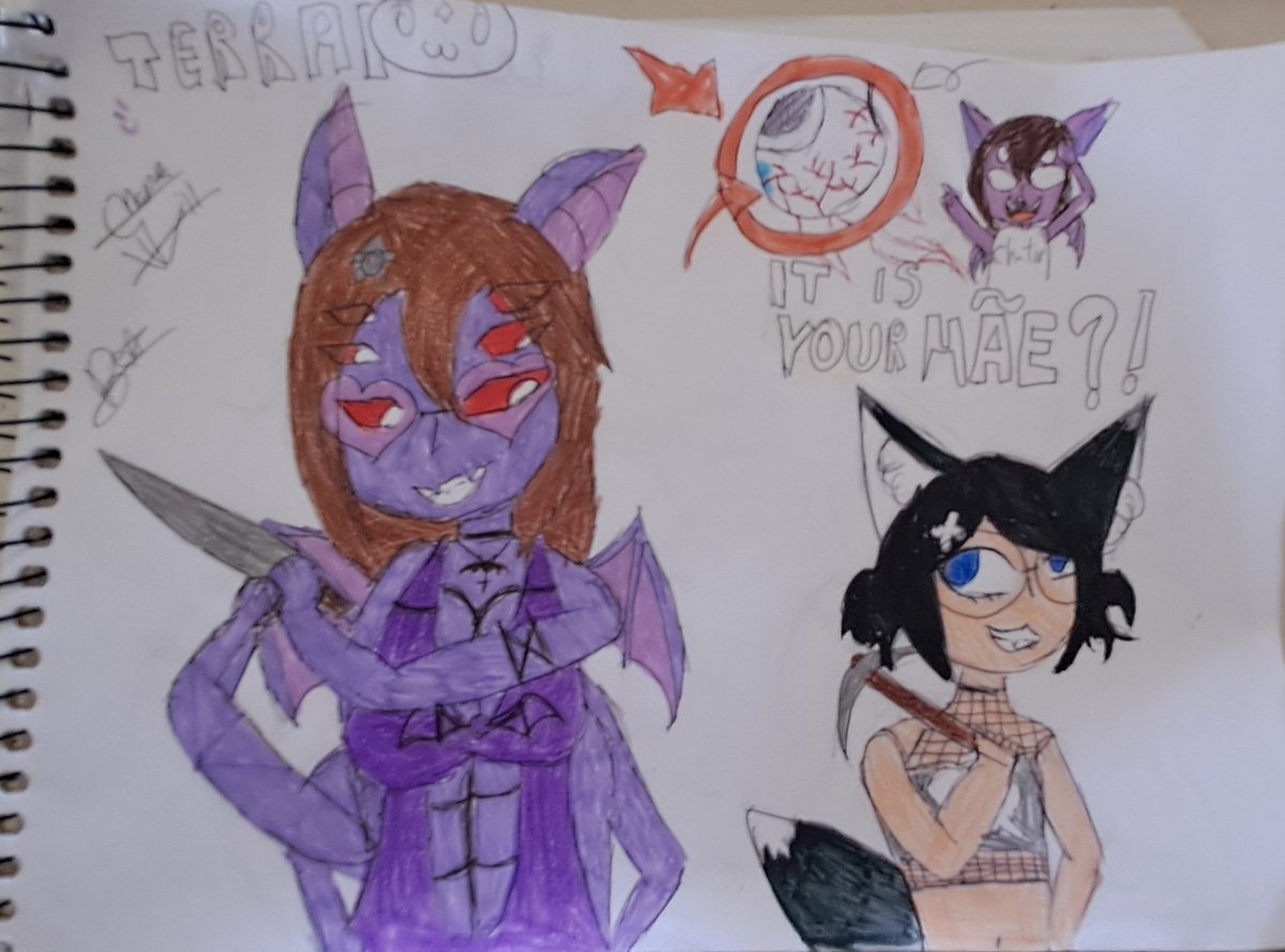choppa_will's tweet photo. 1 dia de live = 1 desenho 
2 dia TERRARIA! Amei fazer a thumb da live akakakkakak

#DanteArtes  #EeirisArts https://t.co/XxkPFqQvtl
