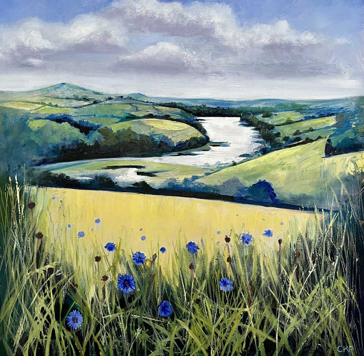 The incredible view from our #naturalburialground has been captured by artist Cheryll Kinsley Potter in memory of Tanja Price, who's buried there. 

Her dad Bob is selling prints, donating some of each sale to us to maintain #SharphamMeadow: ow.ly/X7pH50SyK5W

#Totnes