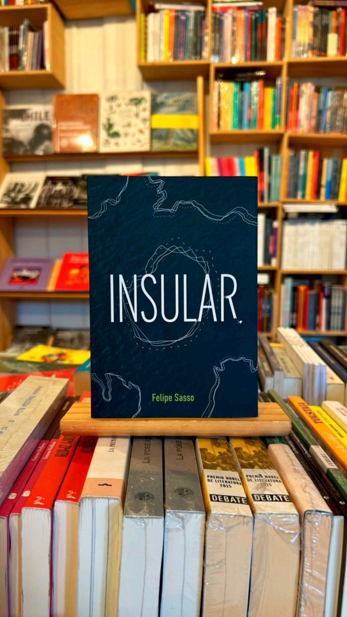 Mi libro Insular llegó a la librería Gato Caulle de Valdivia ☺️