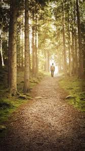 emilyedwards349's tweet photo. A quick walk home today through trees and streets of crisp fresh air and a breakthrough of sun. Loved it.
#walkinggroups #nature #mentalhealth #WednesdayMotivation https://t.co/r16EfsiRGF