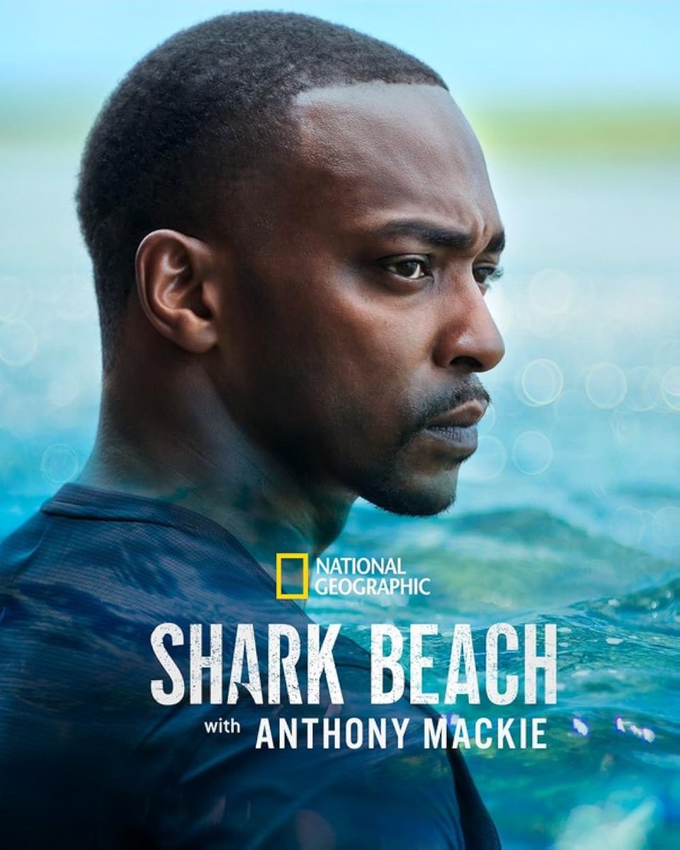 MagicHandz's tweet photo. Now watching #SharkBeach with Anthony Mackie. 🦈 🦈 https://t.co/OP3U12PhjU