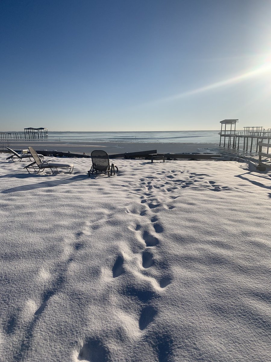 JoshuaJay511's tweet photo. Good morning from the white Sandy beaches of the Gulf of America https://t.co/FisyKNCelm