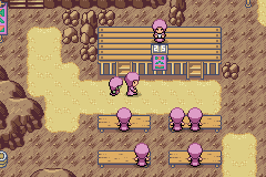 PokeScape tweet media