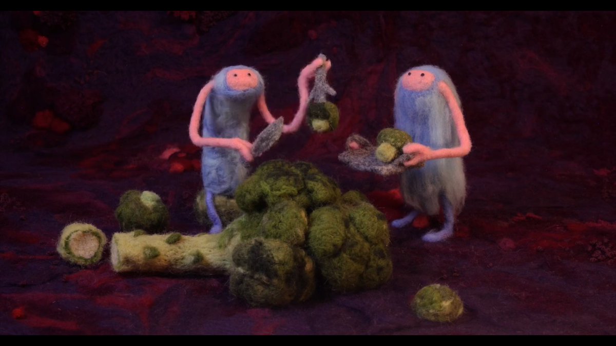 𝐬𝐚𝐲𝐜⚯𝐥𝐞𝐧𝐠𝐥𝐢𝐬𝐡™🧠📚🐈‍⬛ tweet media