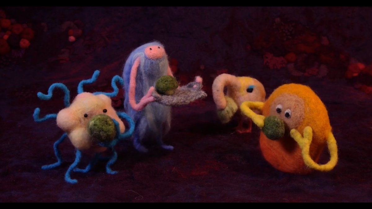 𝐬𝐚𝐲𝐜⚯𝐥𝐞𝐧𝐠𝐥𝐢𝐬𝐡™🧠📚🐈‍⬛ tweet media