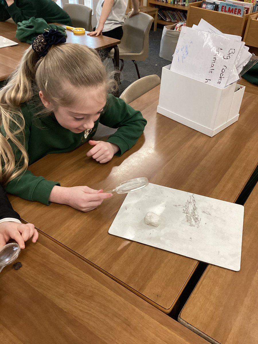StOswaldsCE's tweet photo. The Sparrows looked at different types of rocks today. They used magnifying glasses to identify rocks with grains (chalk) rocks with layers (sandstone) and rocks with crystals (granite) #stoswaldsscience https://t.co/GpaN7X68R1