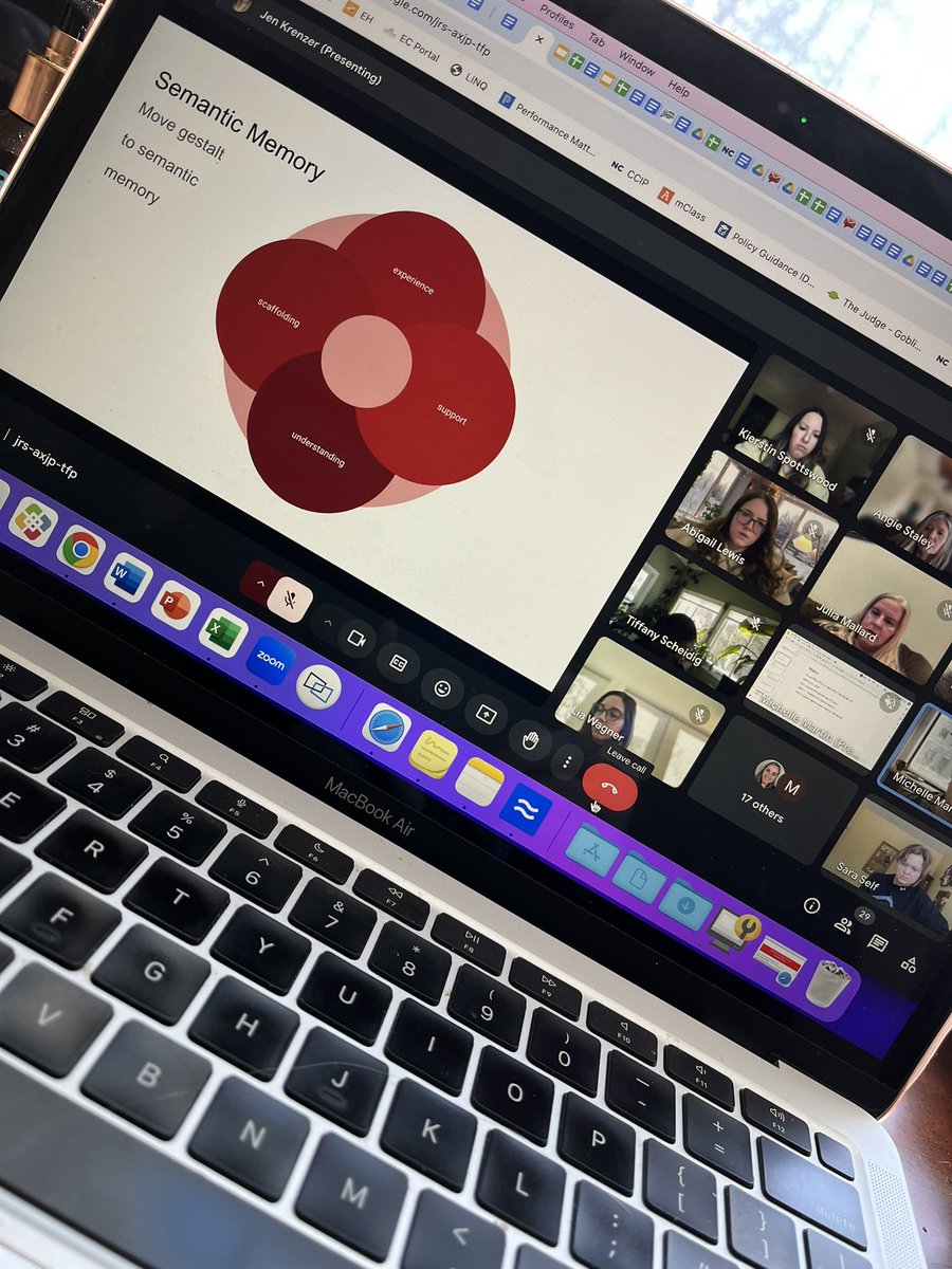 Virtual PD in full swing - Co-teaching, Gestalt Language Learning, Function of Behavior, Data Collection are just a few of the options offered by EC to teachers and IAs today! #SeeThePossibilities #ccsasis
