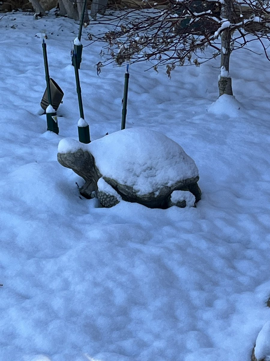 What is this stuff?