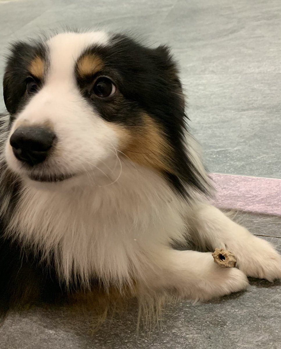 하아아아~~~~~~~~                     품.