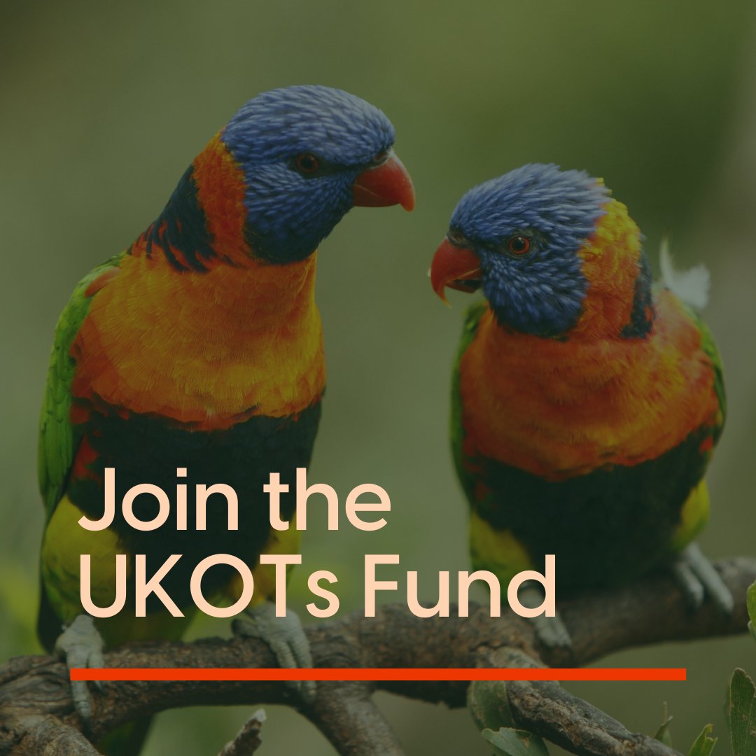 The UKOTs Funder Learning Series may be over, but the need to support the UKOTs is not!

Our partner, <a href="/EllermanUK/">John Ellerman Foundation</a> &amp; @SufinaAhmad, aim to launch the next round of the UKOTs Fund this year &amp; is looking to work with new funders.

See how you can get involved: greenfunders.org/funders/ukot/
