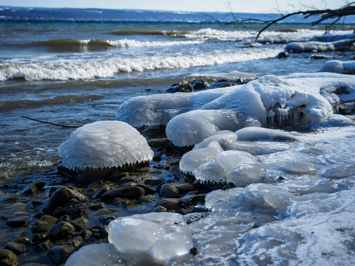 Despite the frigid temps, it's still a beautiful place we have here. 💚

Photo from the shore of Cayuga Lake in Seneca County by Chris Ray

#fingerlakes #flx #winter2025