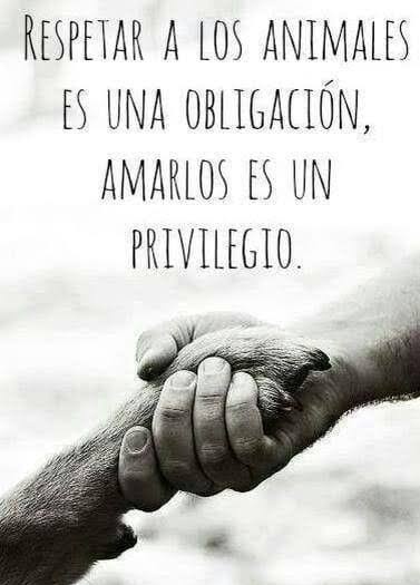 AVISO IMPORTANTE