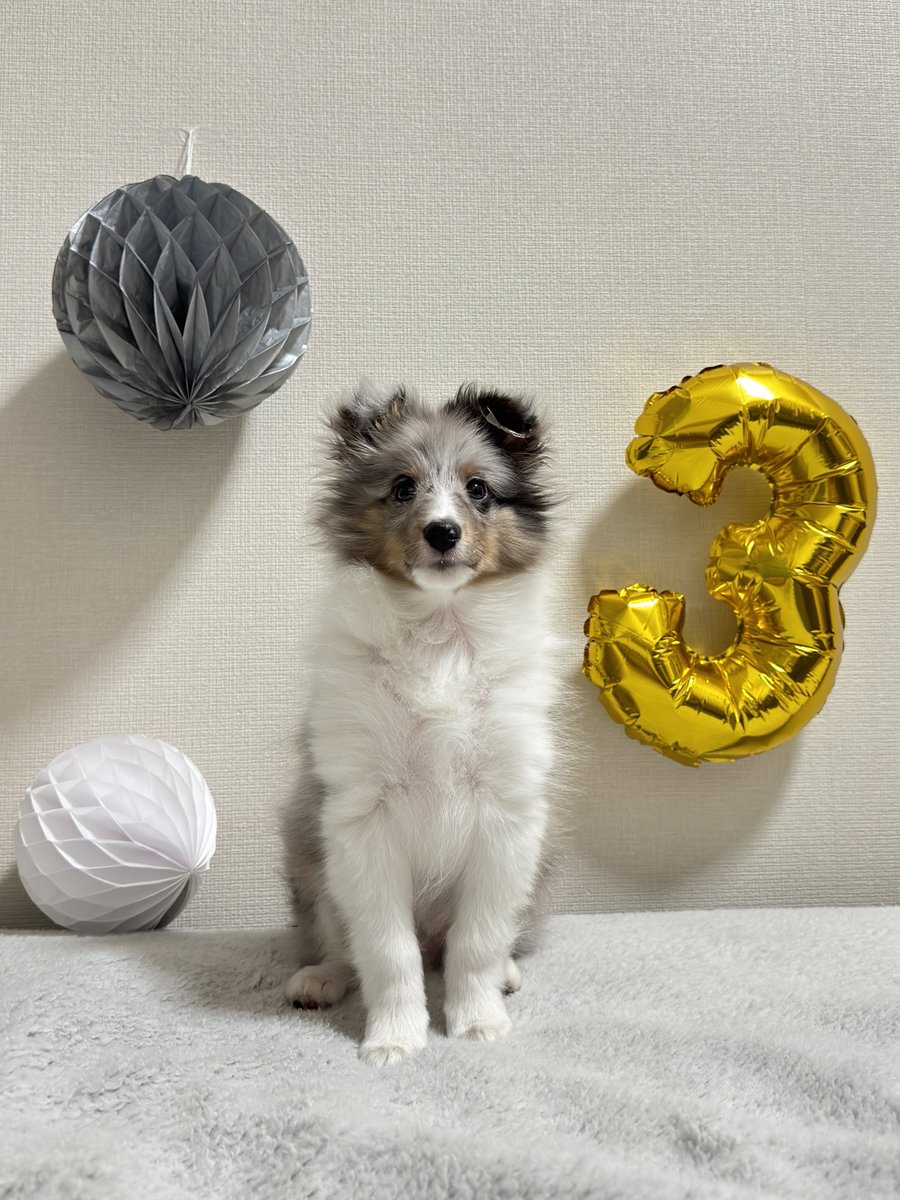 今日で3ヶ月ぬくさん