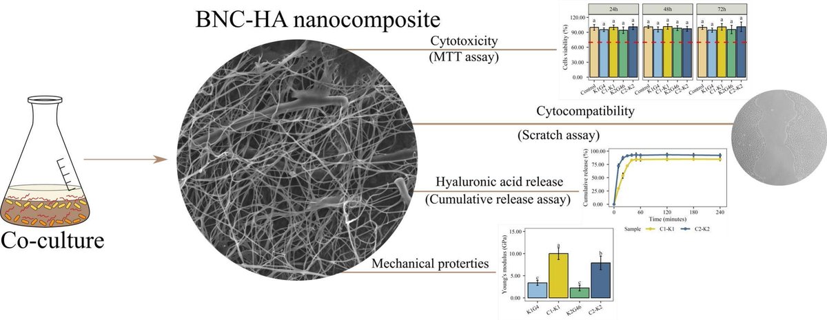 BioPol4Fun tweet media