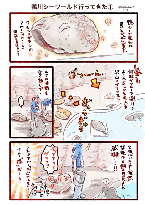 鴨シーのワモンアザラシのアルー様。
絶対この場所を譲らないという固い意志を感じる…!
#すぐるらくがき 