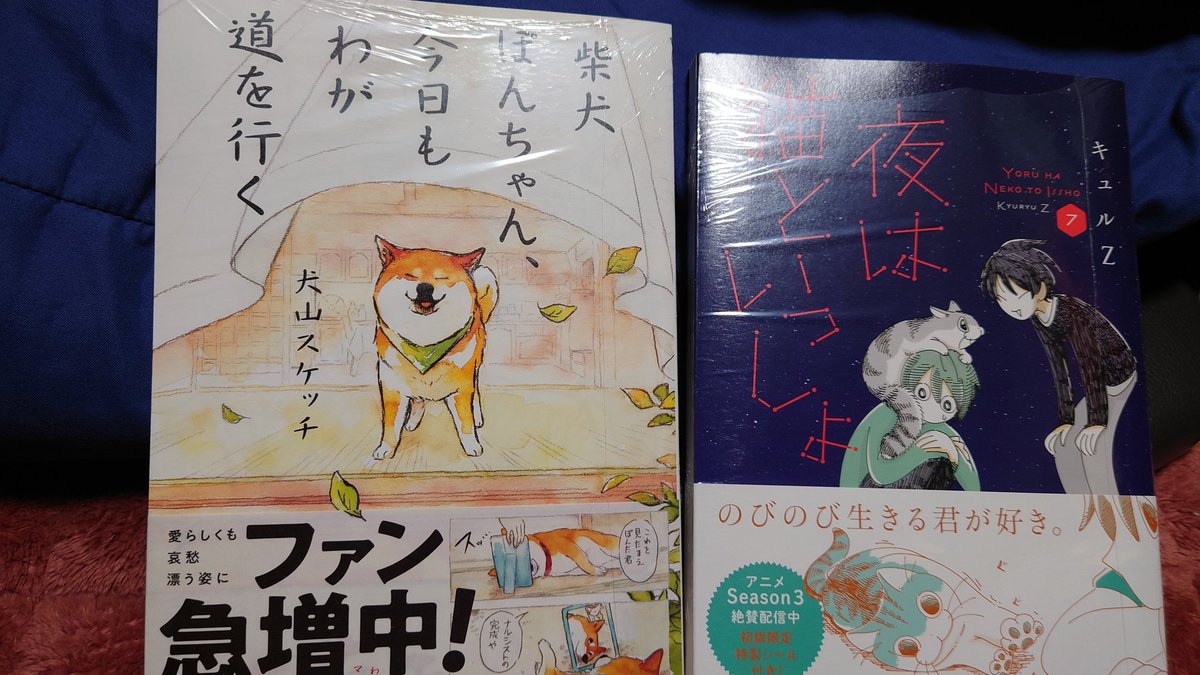 キュルガ買いに行ったら隣にあって気になったので買っちゃった 