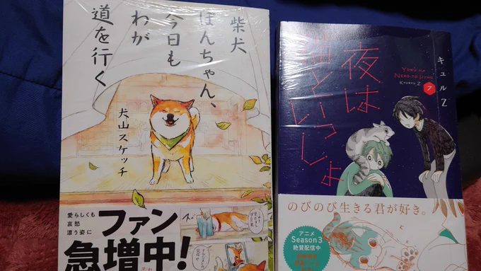 キュルガ買いに行ったら隣にあって気になったので買っちゃった 