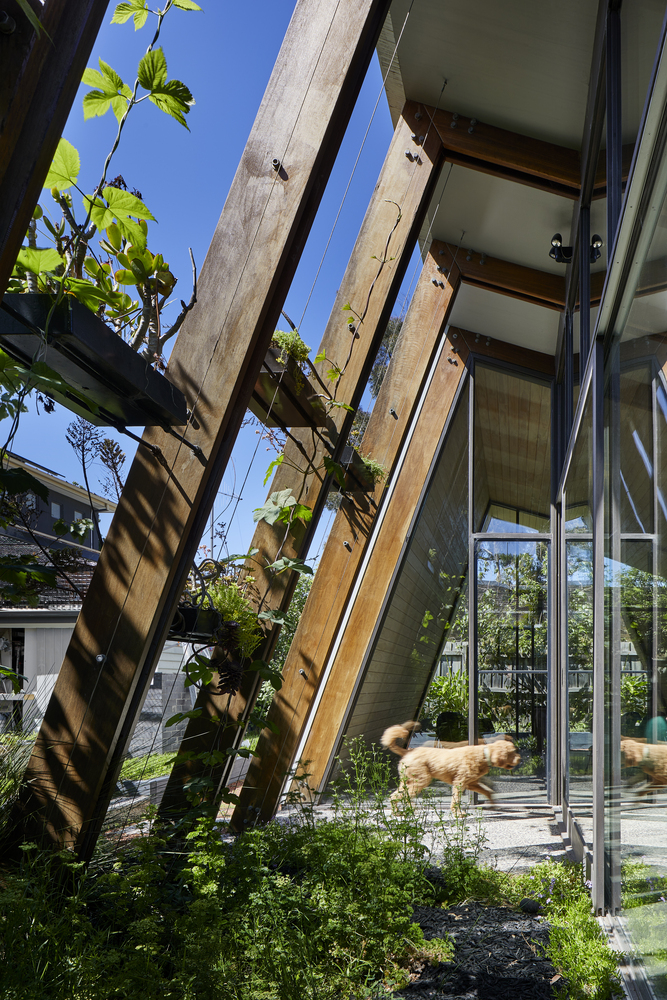 ArchDaily's tweet image. BENT Annexe II #House reimagines a period home with a #pavilion that seamlessly blends indoor &amp;amp; outdoor spaces through floor-to-ceiling glass, timber detailing, an arbor-like structure, &amp;amp; passive design strategies for light, privacy, and energy efficiency. ow.ly/l0T450UKRX6