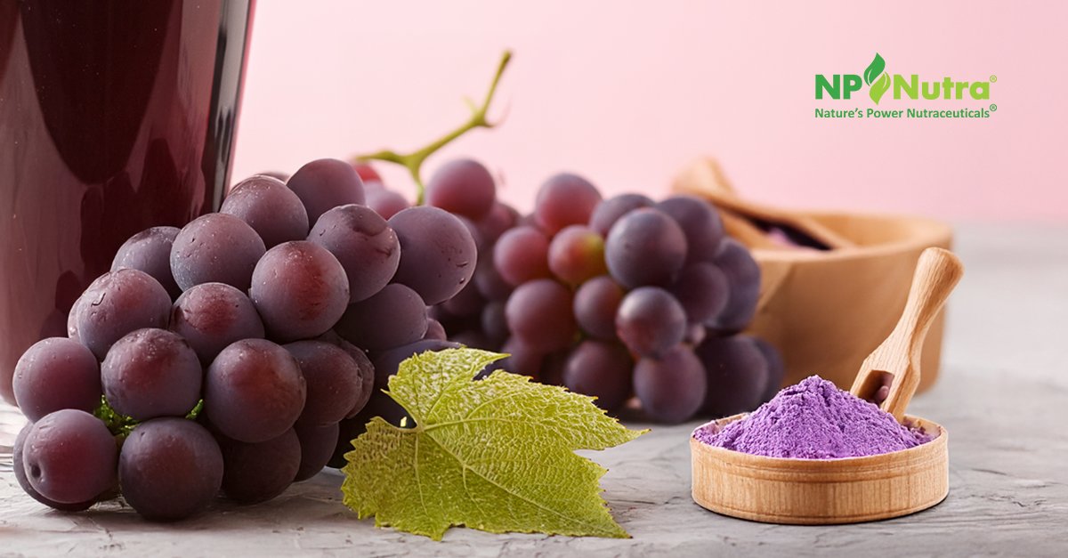 Looking to create products that stand out?
Concord Grape Juice Powder (organic) delivers bold flavor, musk aroma &amp; resveratrol-packed nutrition. Ideal for foods, drinks, supplements &amp; cosmetics.
👉Request a sample: bit.ly/42HgK6n #Nutraceuticals #FoodAndBeverageIndustry