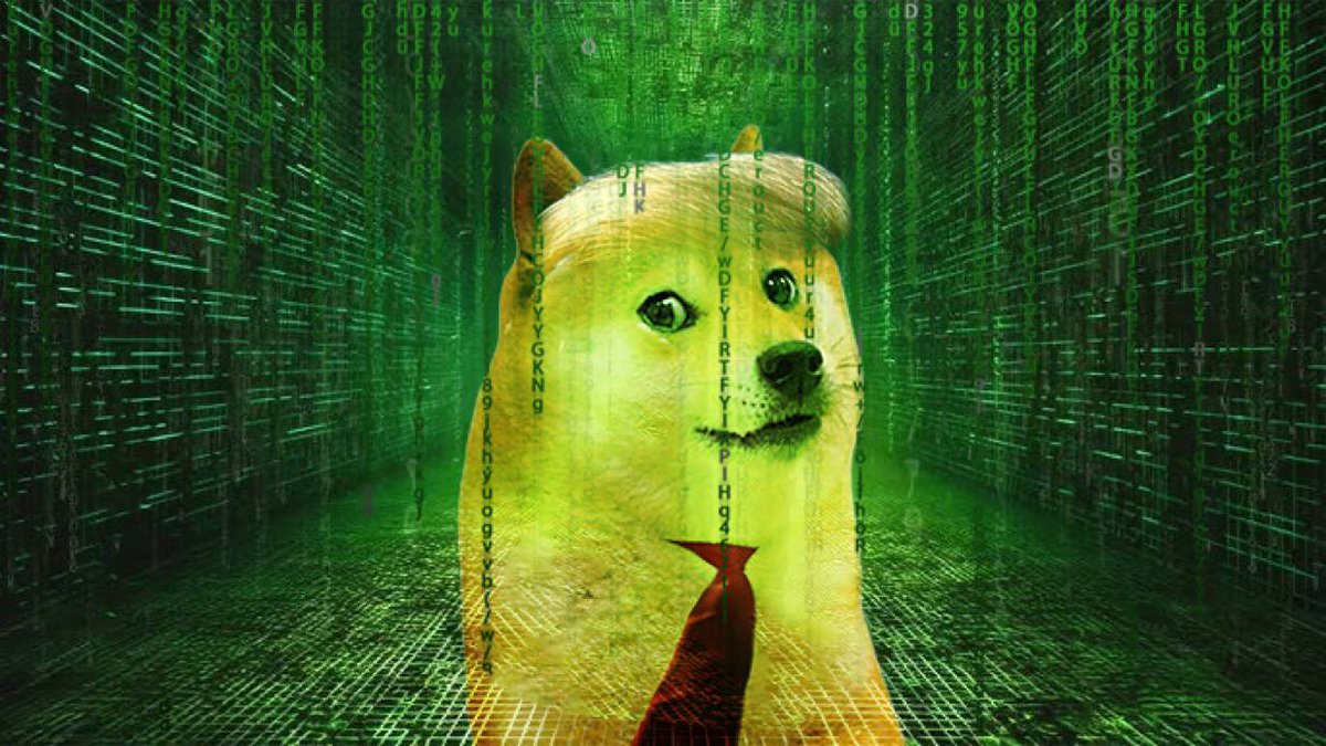 It's time <a href="/TrogeSPL/">$TROGE</a> 
The matrix can't stop us now.