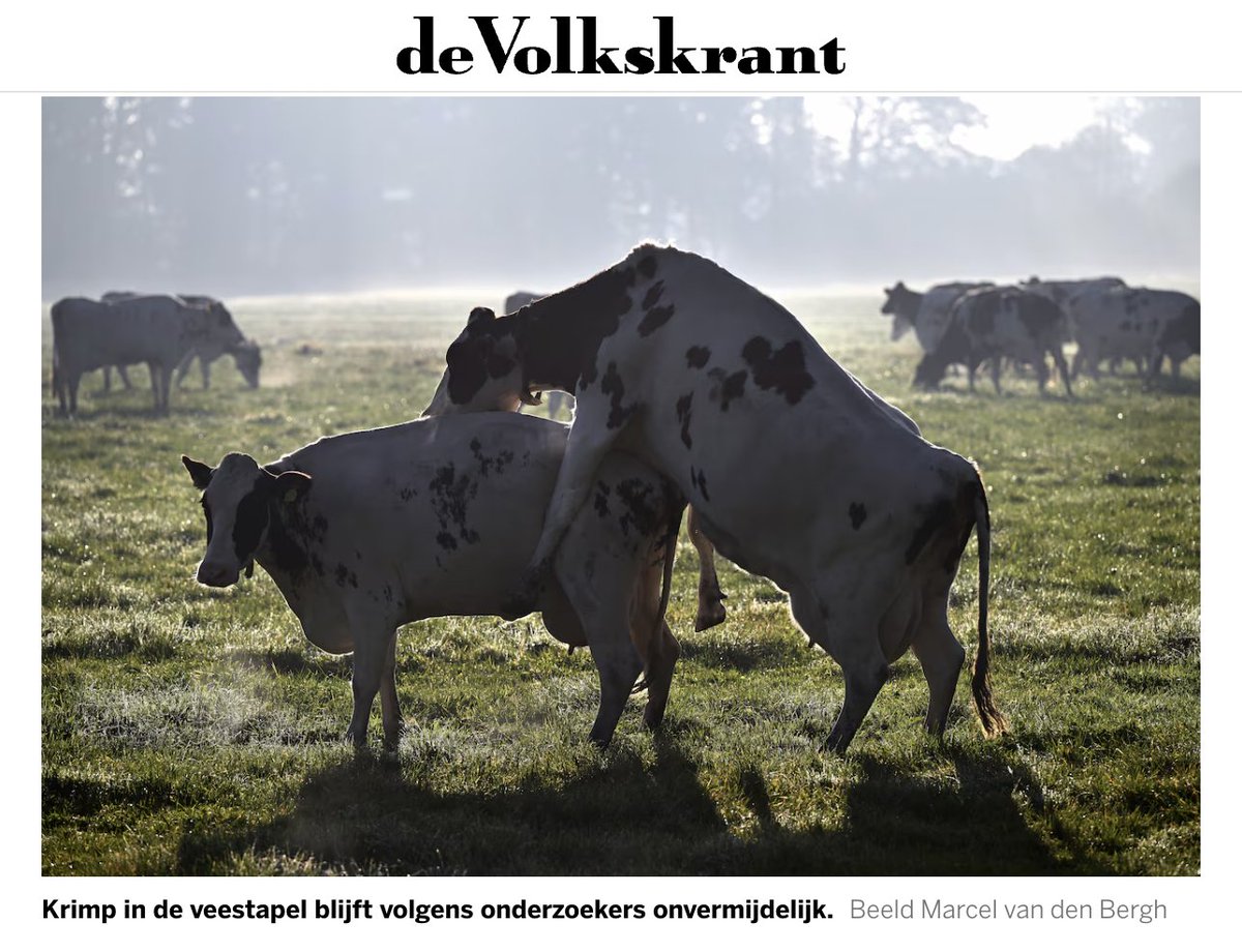 Jan Daalder tweet media