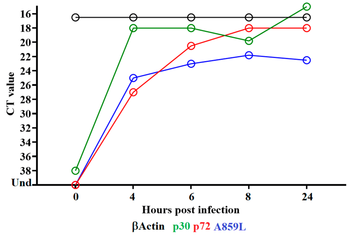 VirusesMDPI's tweet photo. 🔬Evaluation of an ASFV RNA Helicase Gene A859L for Virus Replication and Swine Virulence
✍️by Ramirez-Medina et al.
👉https://t.co/4bbxZe05nN
#asfv #research #sciene https://t.co/LT6DioDOEM