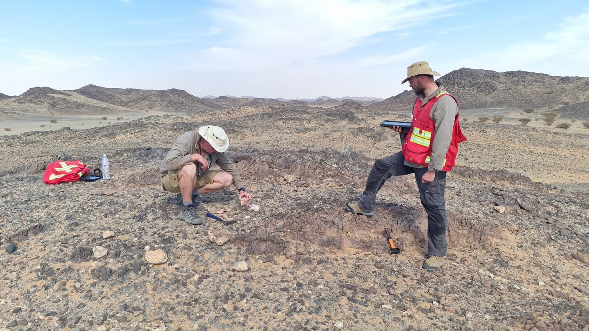 ANS Exploration tweet media