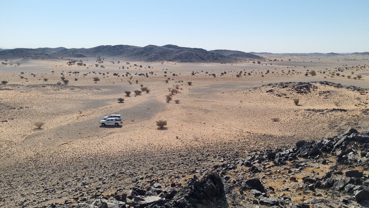 ANS Exploration tweet media