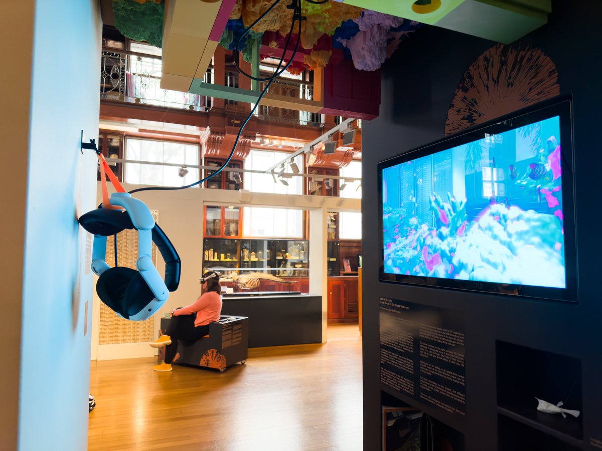 Last chance to see Virtual Worlds: Corals! In our immersive installation, experience a 'flooded' museum transformed into a coral reef, until ​25 January.​ ucl.ac.uk/culture/whats-…