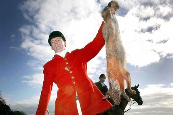 Killing foxes for sport is barbaric and sickening. 🦊💔 Agree? Share this widely!