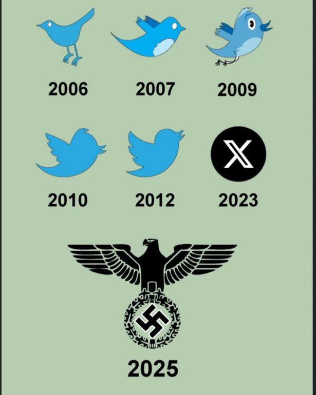 The bird is back