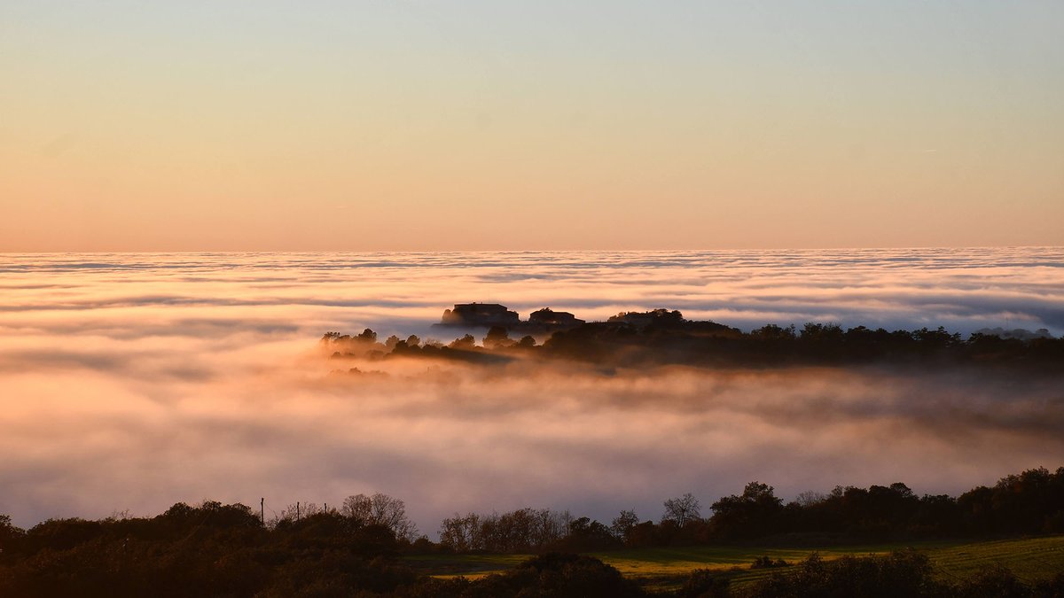 Som Segarra tweet media