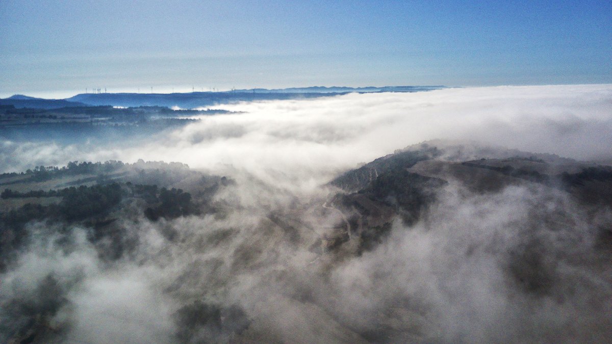 Som Segarra tweet media