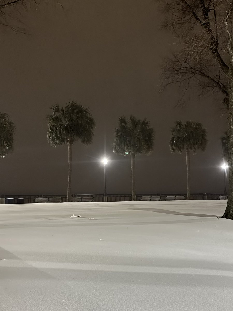 Conley Grayson tweet media