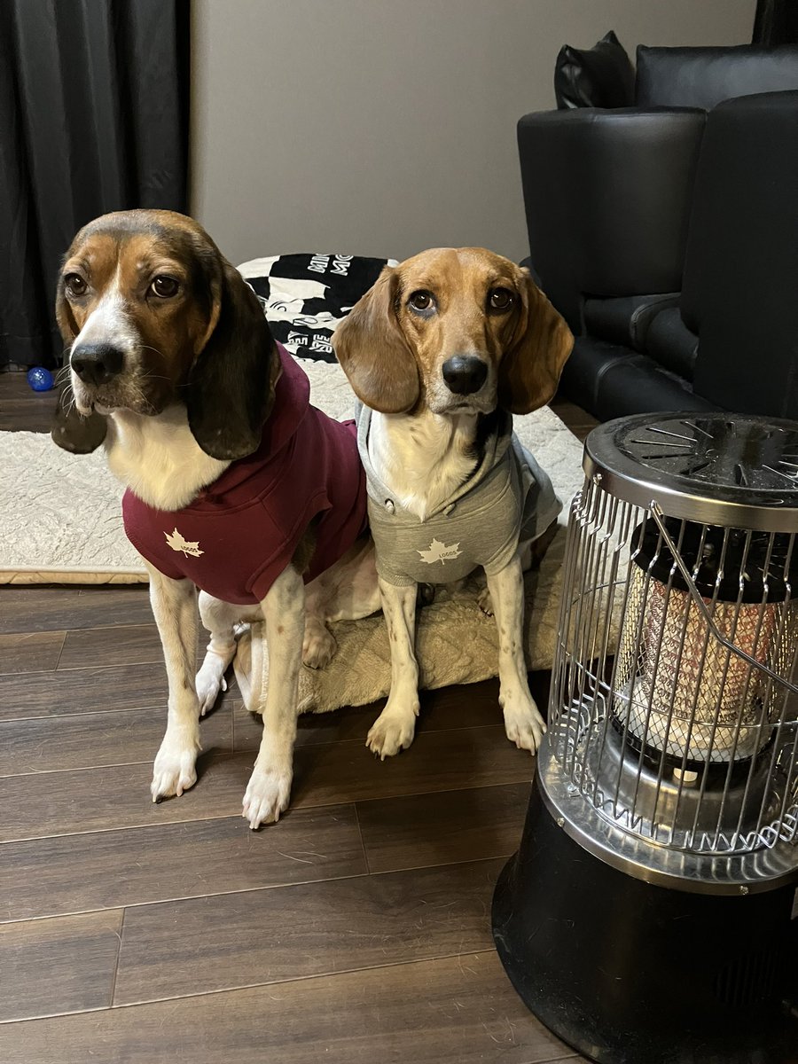 ストーブ大好き犬🐶