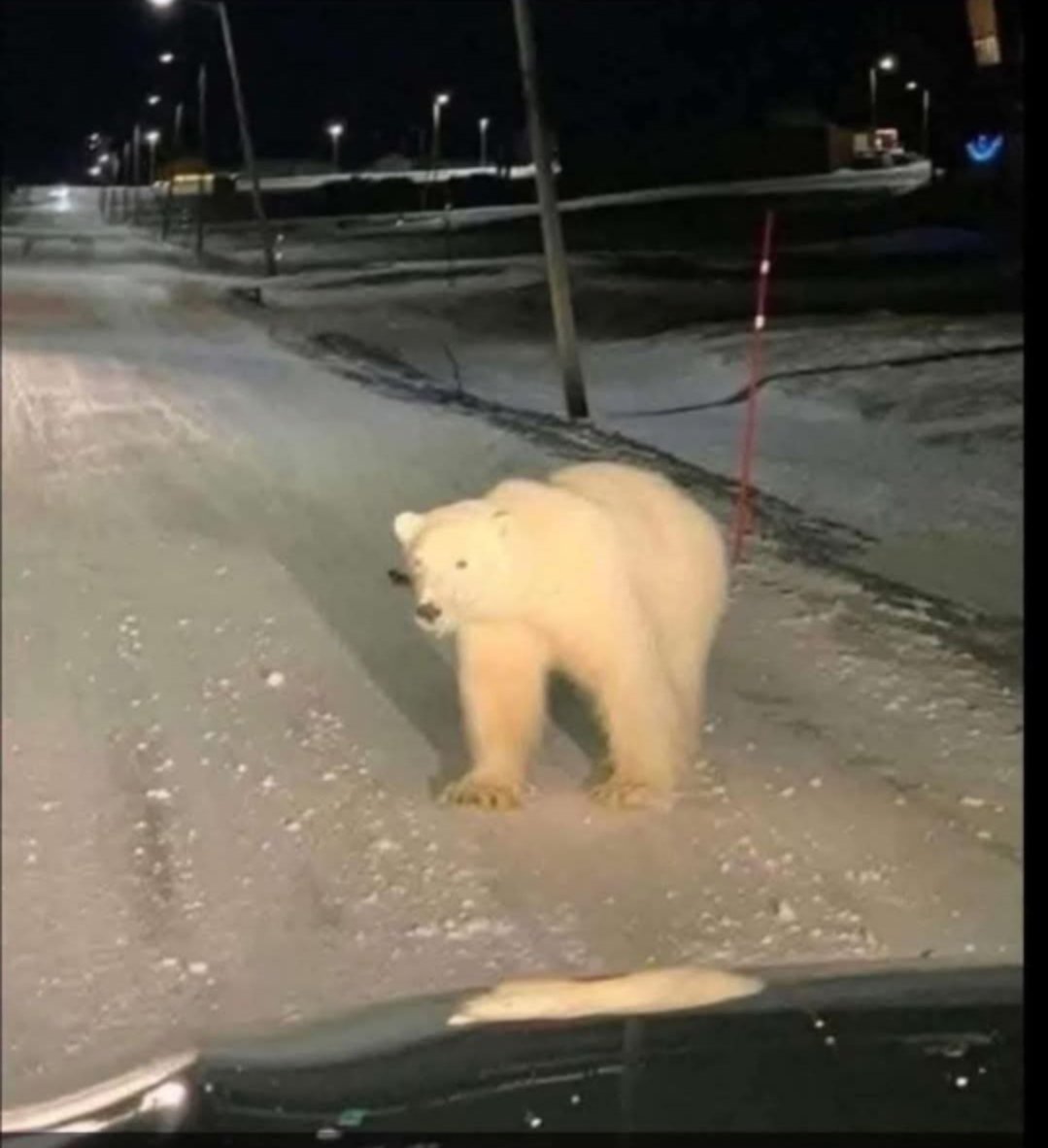 Only At Southern tweet media