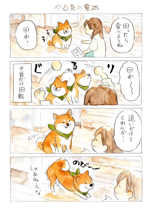 (3/6) 