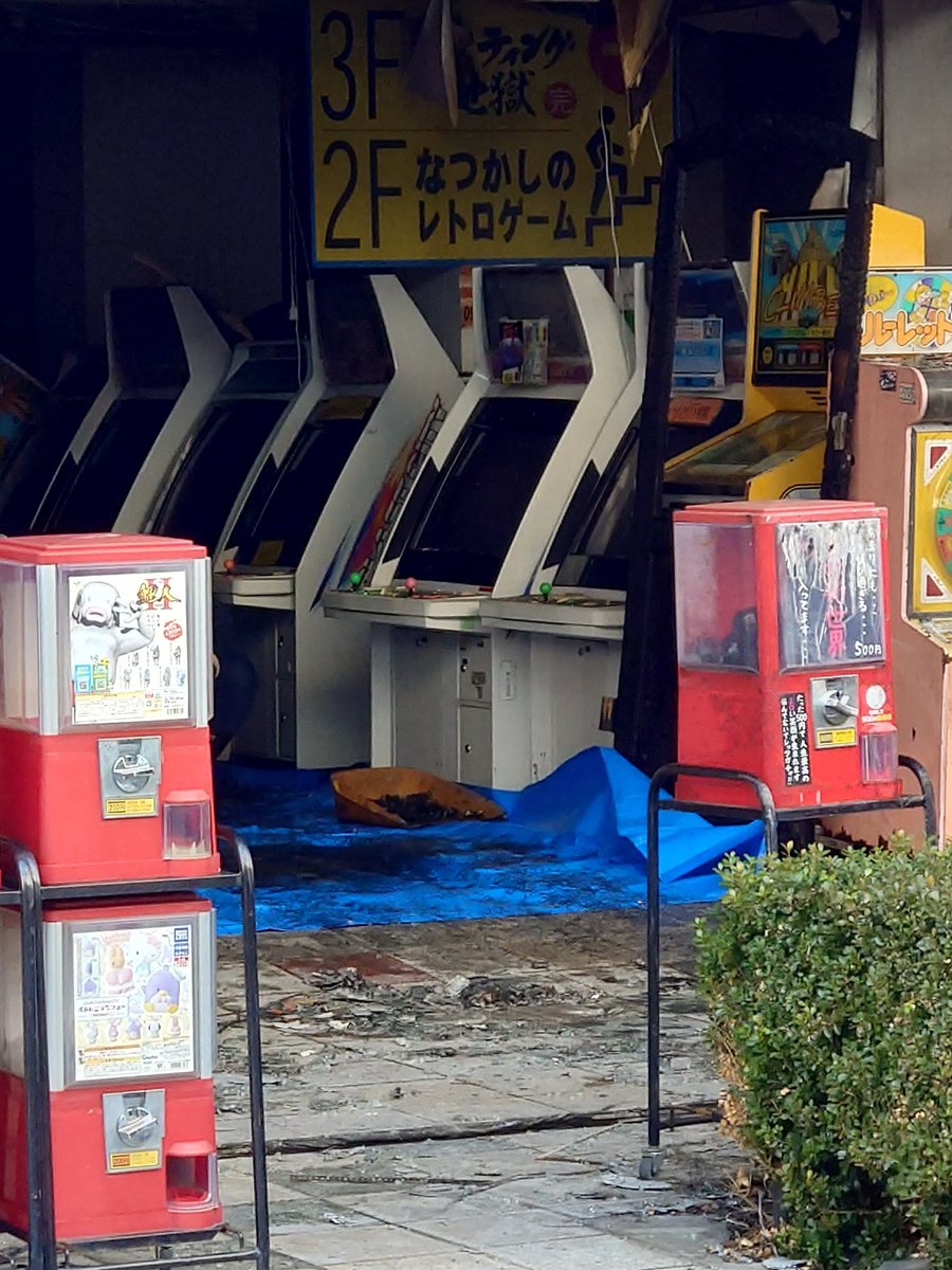 アサカワケーイチ tweet media