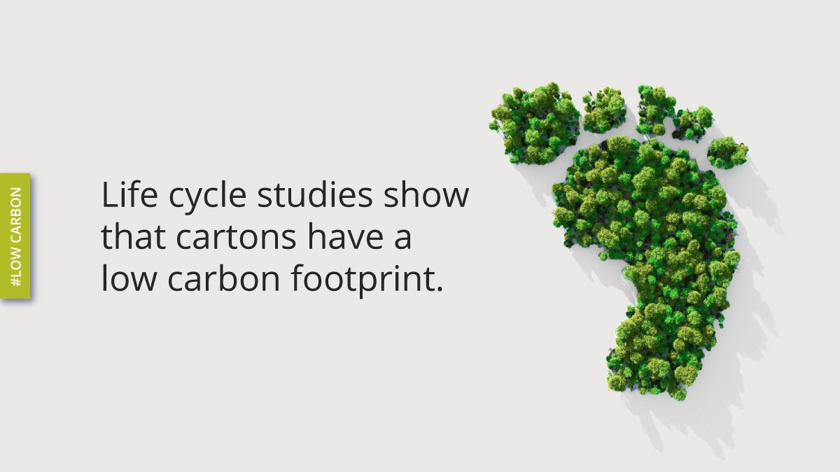 re:cartons tweet media